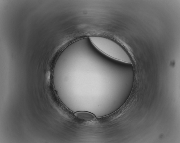 X0000098030067200803280741