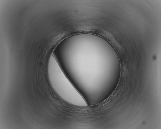 X0000098030068200803280741