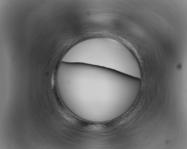 X0000098030069200803280741