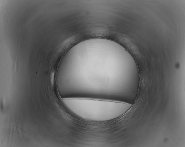 X0000098030070200803280741