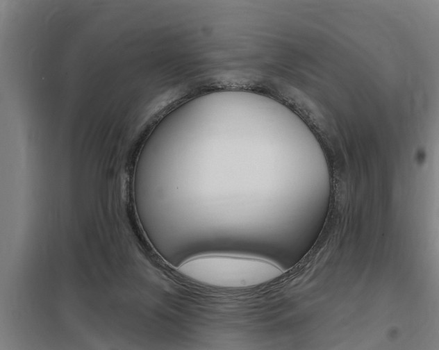 X0000098030071200803280741