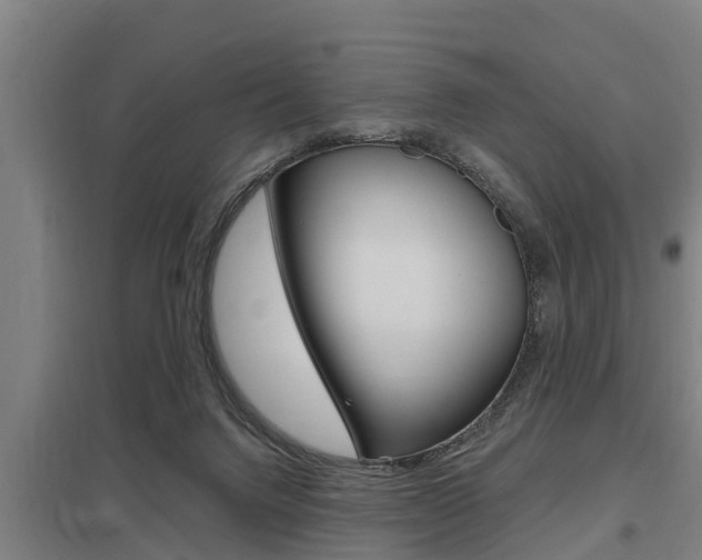 X0000098030072200803280741