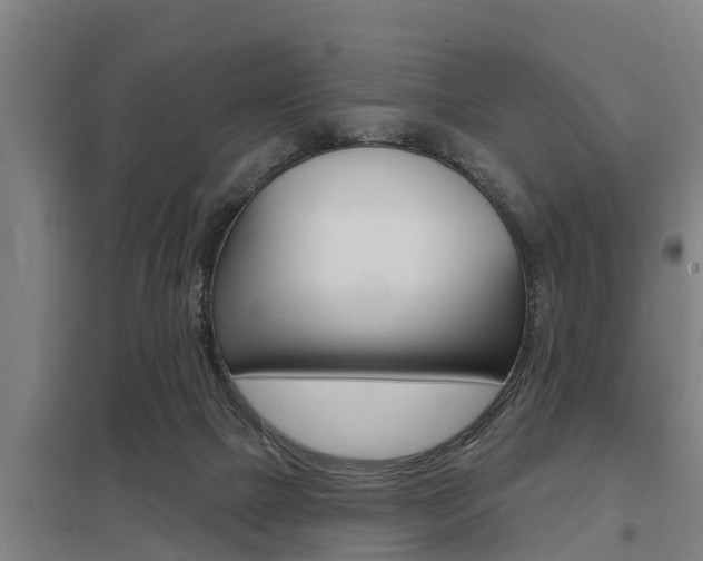X0000098030073200803280741