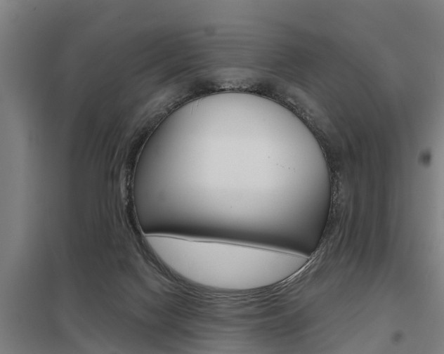 X0000098030074200803280741