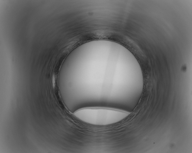 X0000098030075200803280741