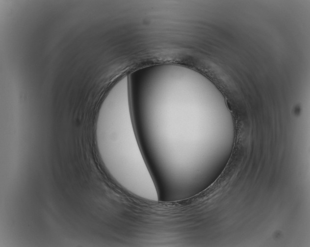 X0000098030076200803280741