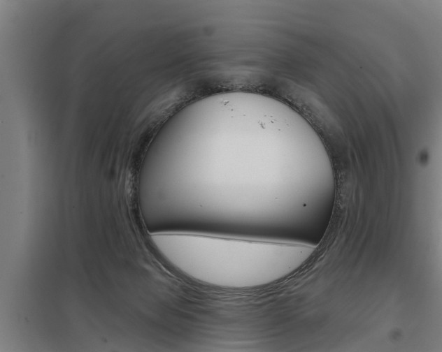 X0000098030077200803280741