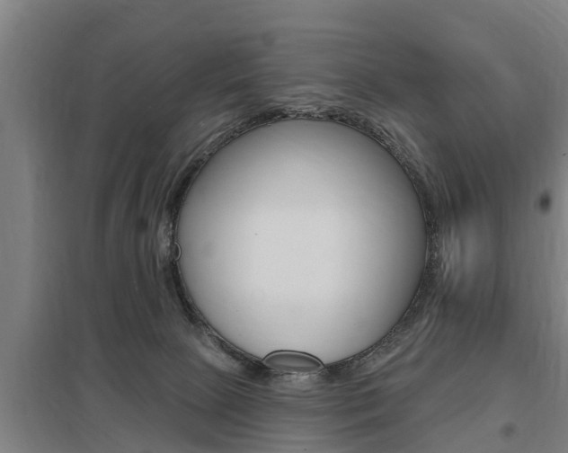 X0000098030081200803280741