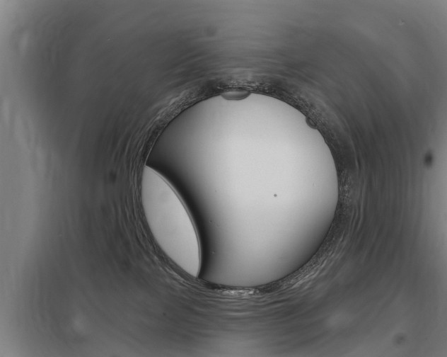 X0000098030089200803280741