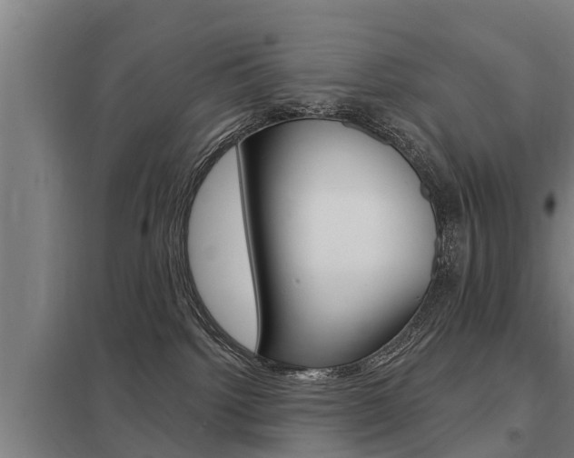 X0000098030092200803280741