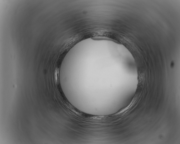 X0000098030094200803280741