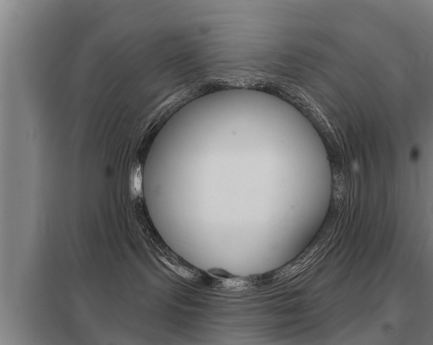 X0000098030095200803280741