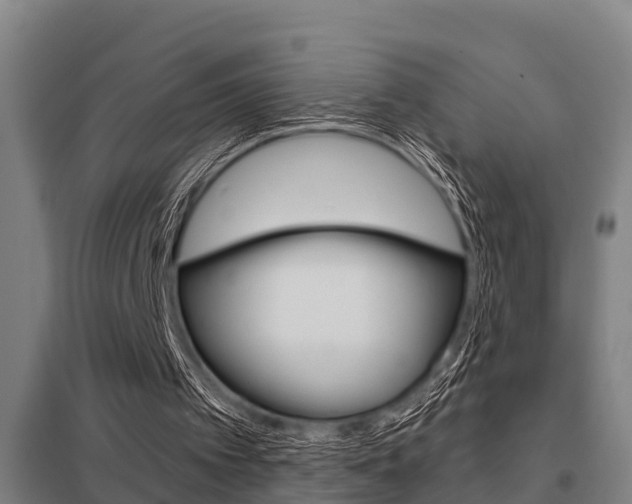 X0000098030097200803280740