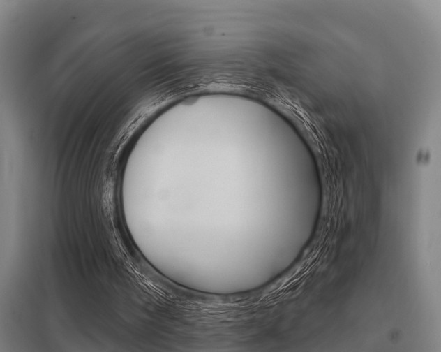 X0000098030098200803280740