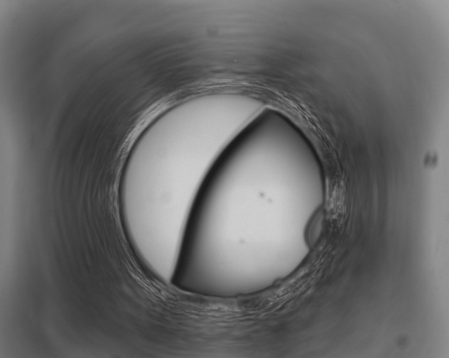 X0000098030099200803280740