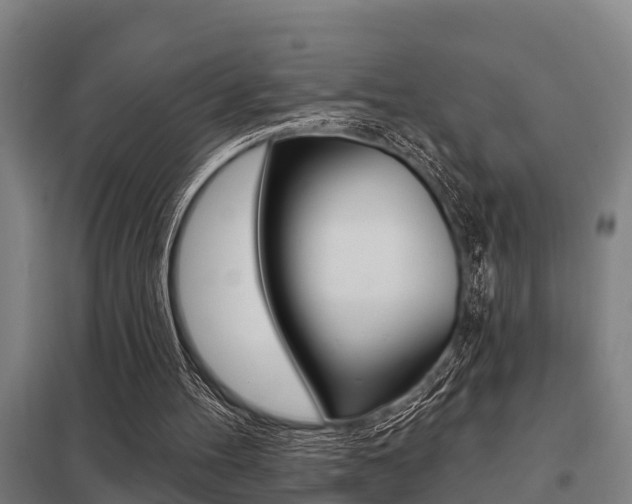 X0000098030100200803280740