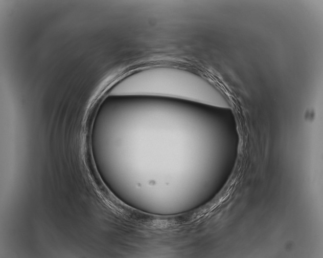 X0000098030101200803280740