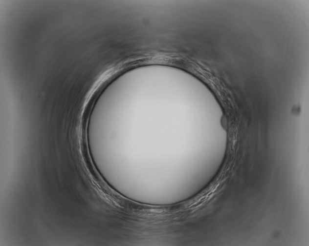 X0000098030102200803280740