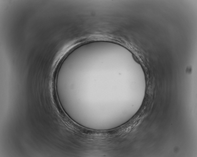 X0000098030103200803280740