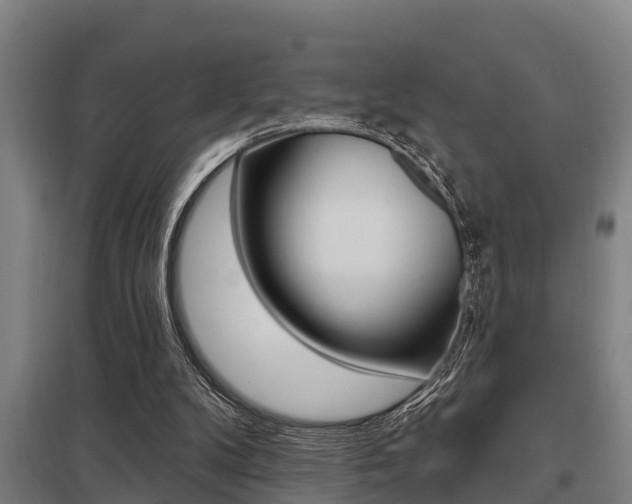 X0000098030104200803280740
