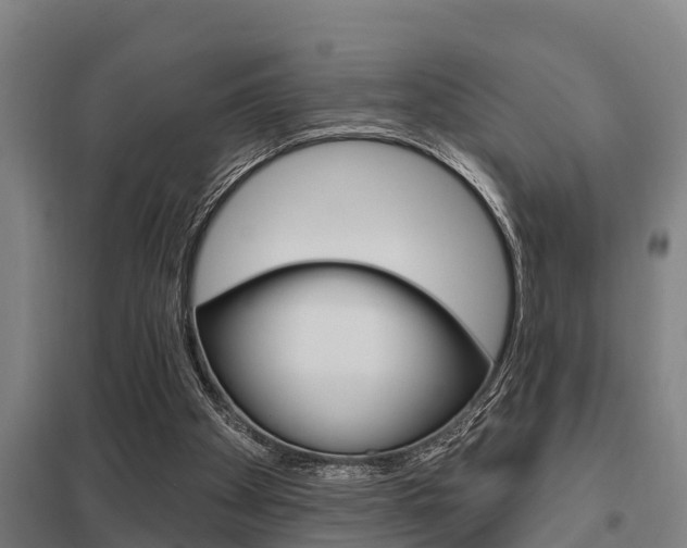 X0000098030105200803280740