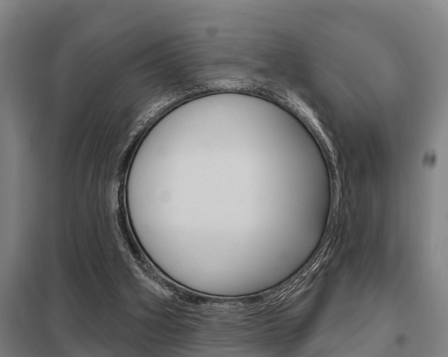 X0000098030106200803280740