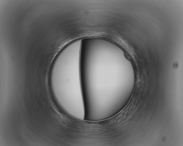 X0000098030107200803280740