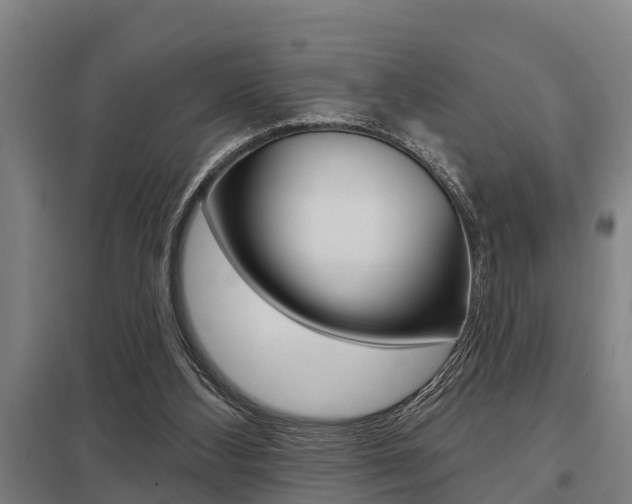 X0000098030108200803280740