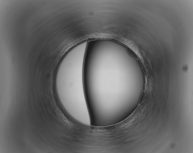 X0000098030109200803280740