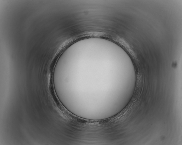 X0000098030110200803280740