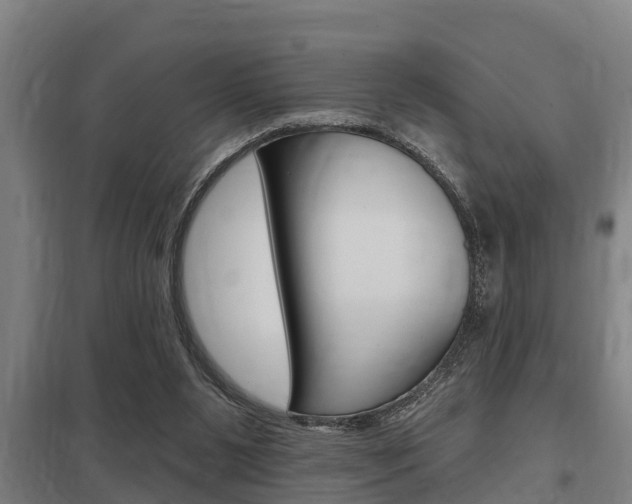 X0000098030111200803280740