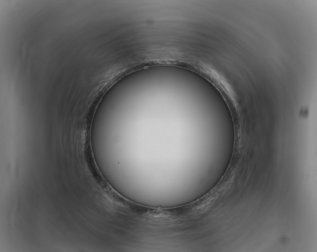 X0000098030113200803280740