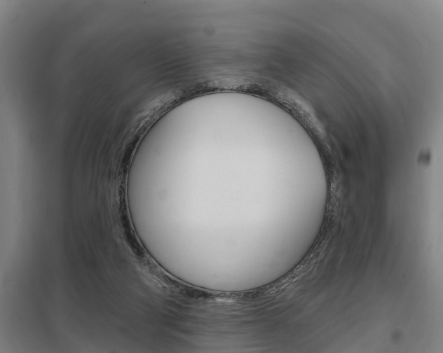 X0000098030114200803280740