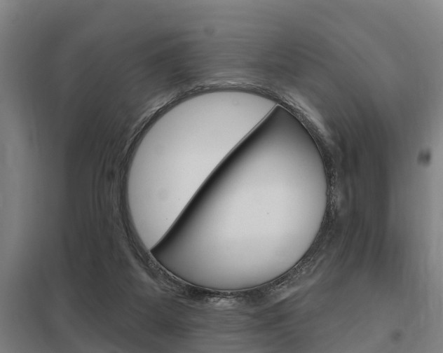 X0000098030115200803280740