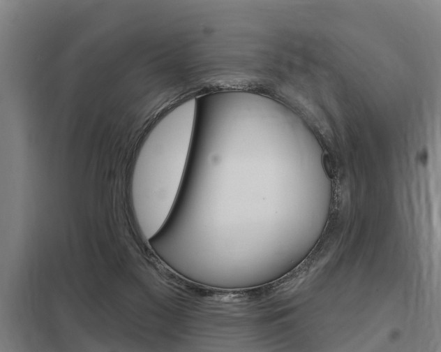 X0000098030117200803280740