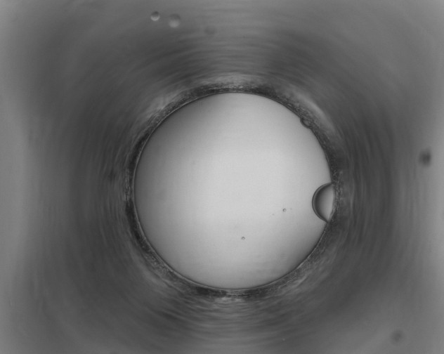 X0000098030119200803280740