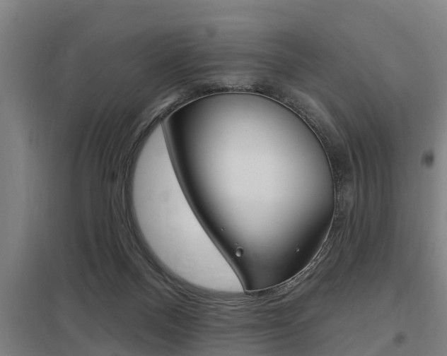 X0000098030120200803280740