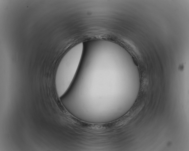 X0000098030121200803280740