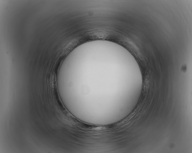 X0000098030122200803280740