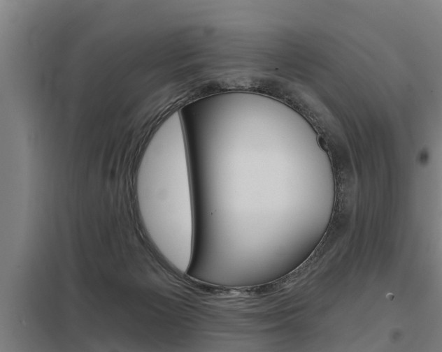 X0000098030125200803280740