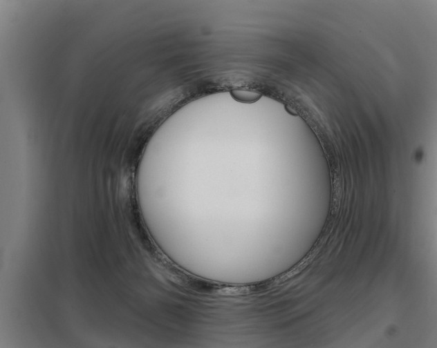 X0000098030126200803280740