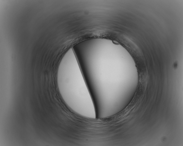 X0000098030127200803280740