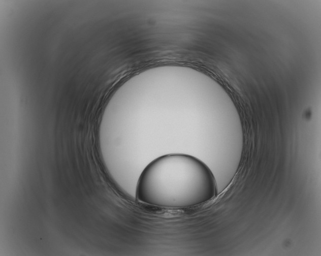 X0000098030128200803280740