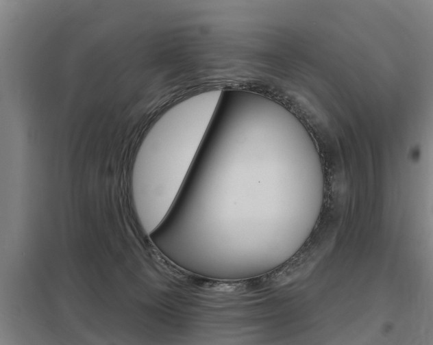 X0000098030129200803280740
