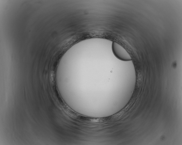 X0000098030130200803280740