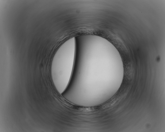 X0000098030131200803280740