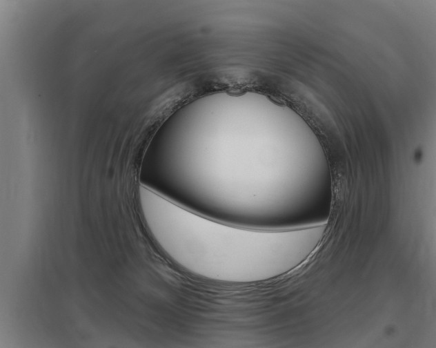 X0000098030132200803280740