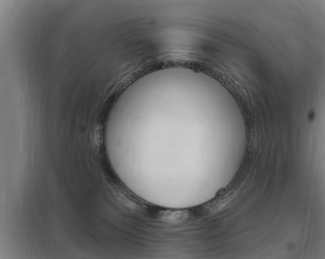 X0000098030135200803280740