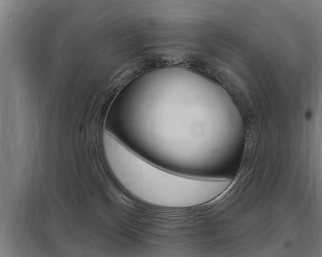 X0000098030136200803280740
