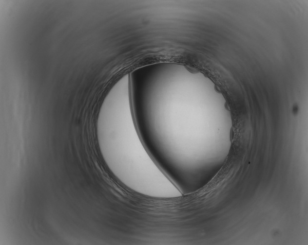 X0000098030137200803280740
